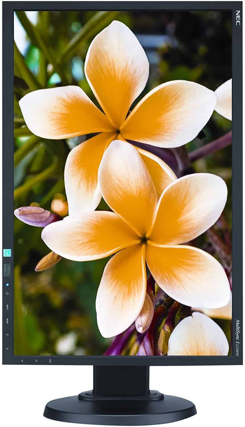 NEC MultiSync E233WM NEC MultiSync E233WM